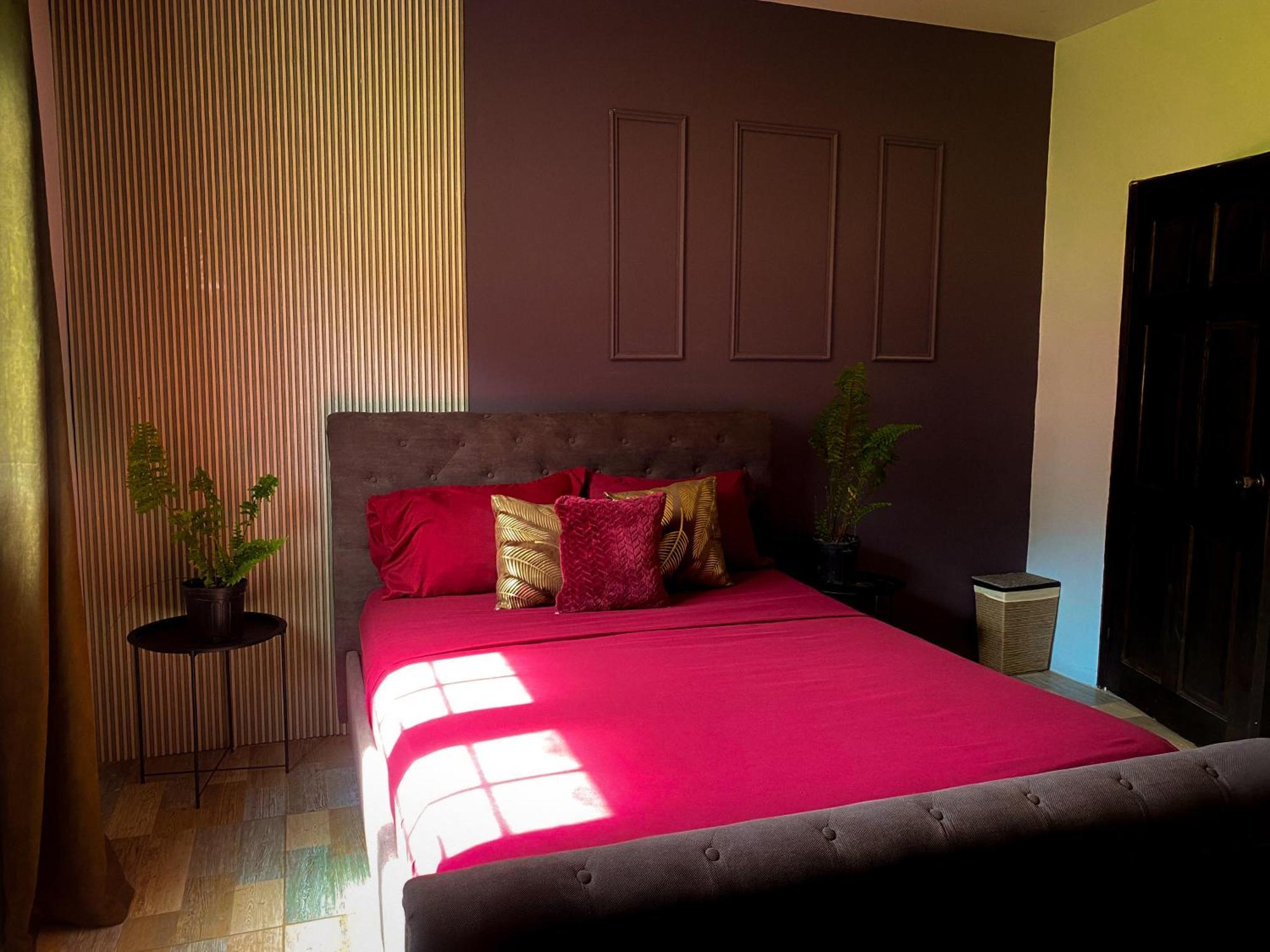 Hotel House Of Zen à Santa Cruz Extérieur photo